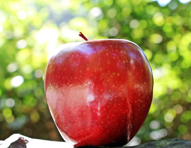 Assortment of fruits