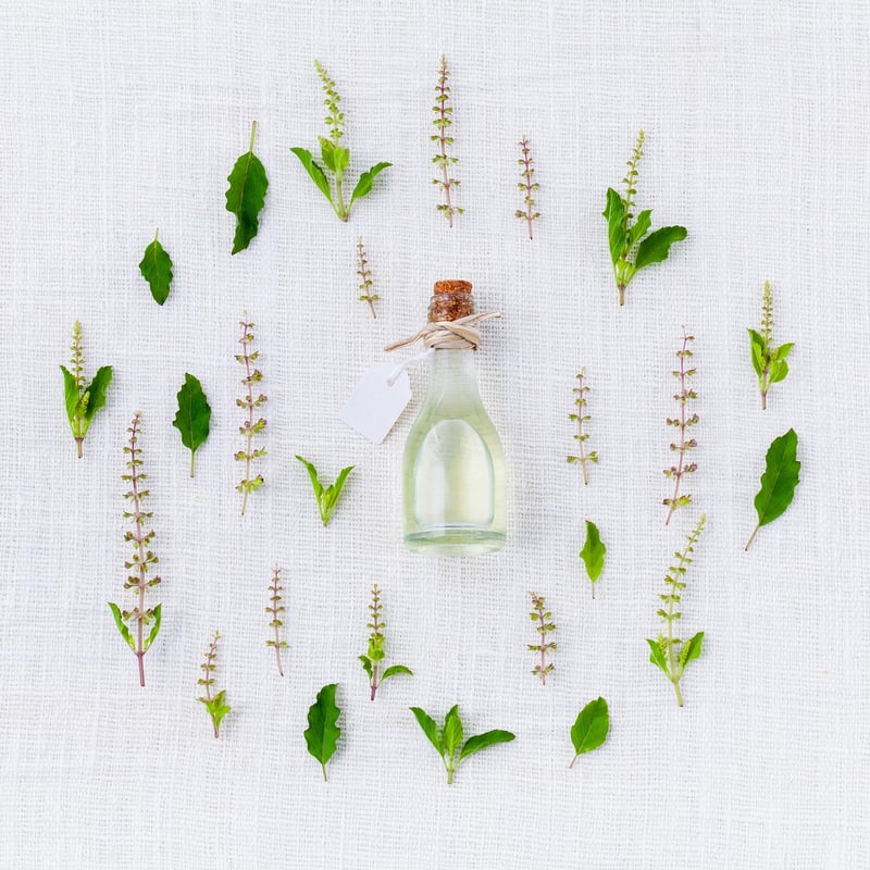 Aromatherapy Herbs